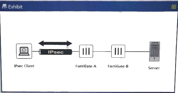 NSE8_810 dumps exhibit